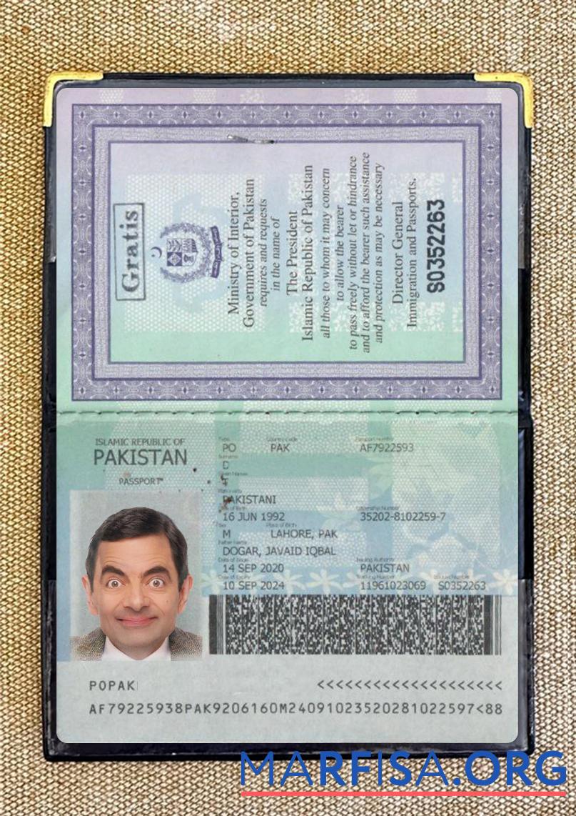 Blank Pakistan passport 2020 present photolook real example